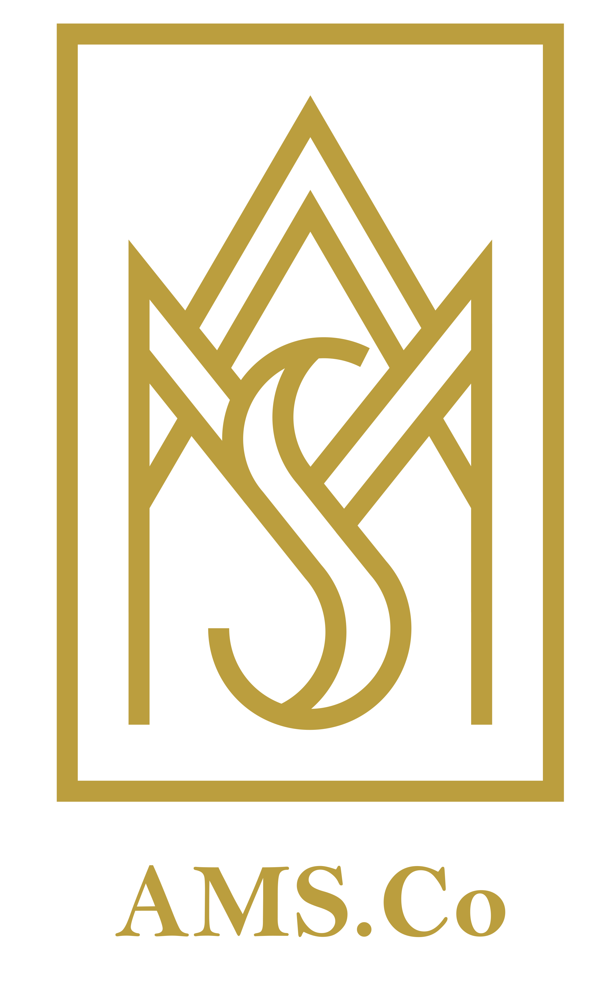 AMS.Co